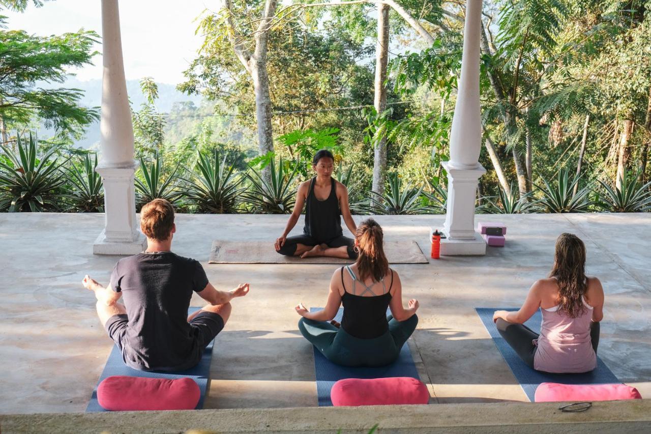 מלון דיגאנה Welikande Yoga Retreats מראה חיצוני תמונה
